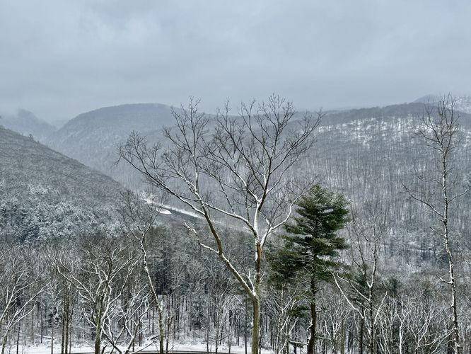 View of Pine Creek from Mt. Tom