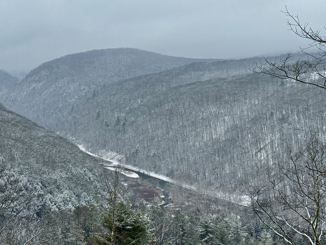 View into the Grand Canyon of Pennsylvania from Mt. Tom
