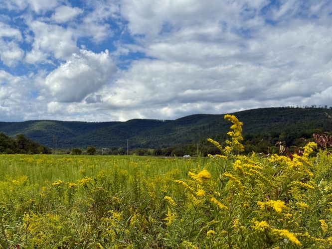 Picture 18 of Pine Creek Trail Wellsboro Extension Sept Oct 2025