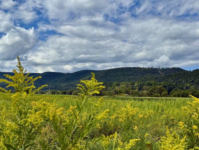 Picture 17 of Pine Creek Trail Wellsboro Extension Sept Oct 2025