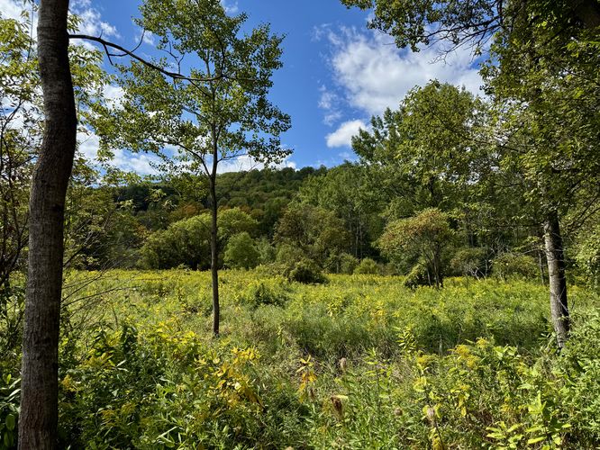 Picture 13 of Pine Creek Trail Wellsboro Extension Sept Oct 2025
