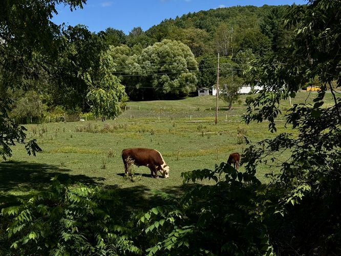 Picture 9 of Pine Creek Trail Wellsboro Extension Sept Oct 2025