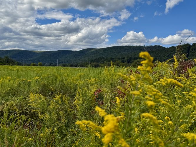 Picture 21 of Pine Creek Trail Wellsboro Extension Sept Oct 2025