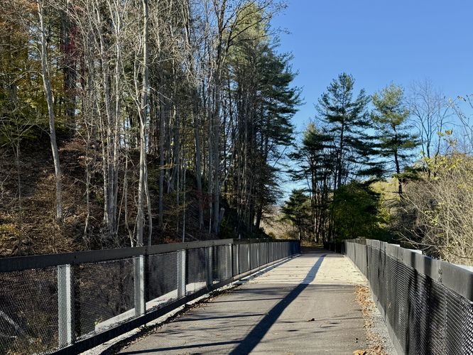 Eastern white pine tower over the Wellsboro Extension