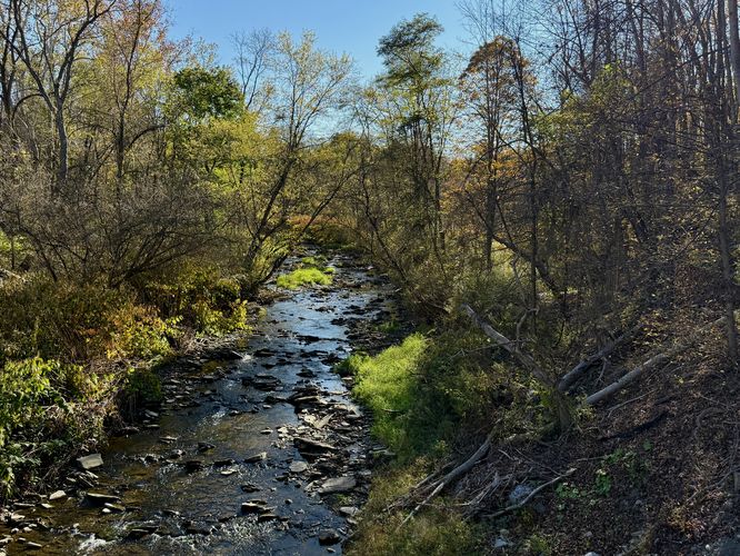 View of Marsh Creek