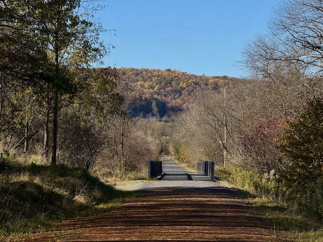 Foliage in the hills in the distance above the Pine Creek Trail