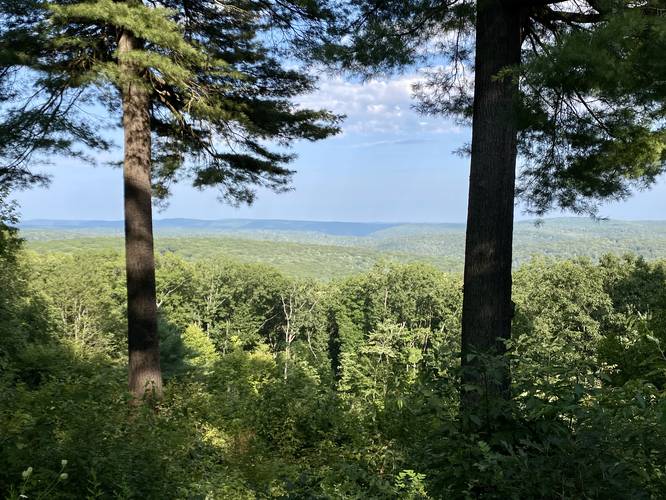 Pine Hill Summit Vistas - Pine Hill Summit Vistas album