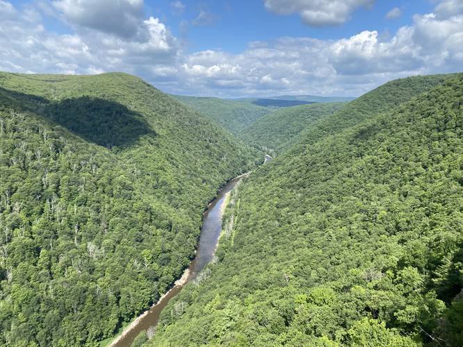 Unobstructed view from Pine Island Vista of Pine Creek Gorge (PA Grand Canyon) and Pine Creek