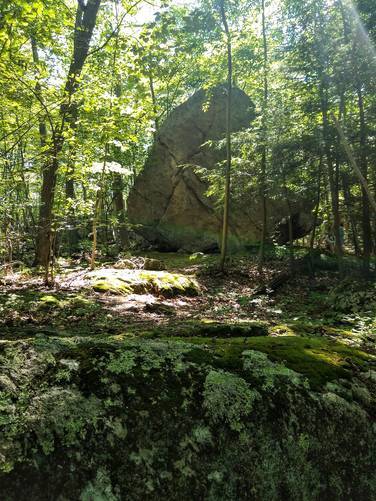 Large rock for bouldering