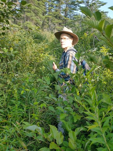 Vegetation was chest high on the River Trail