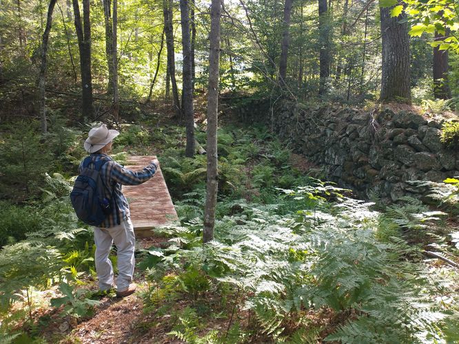 Head over the boardwalk to begin the Boundary Trail