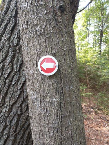 Additional Trail Blaze that was small but helpful