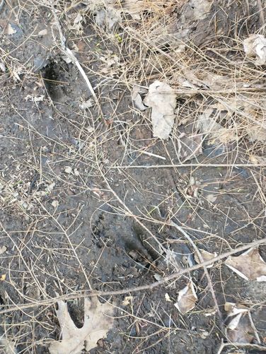 Evidence of the inhabitants in this natural space 