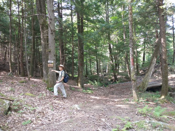The junction of the Boundary and Loop Trails can be confusing. DO NOT GO TO THE RIGHT over the large wooden bridge. That is NOT the trail. Stay to the Left.