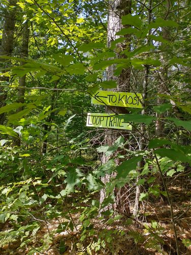 Trail sign at junction 
