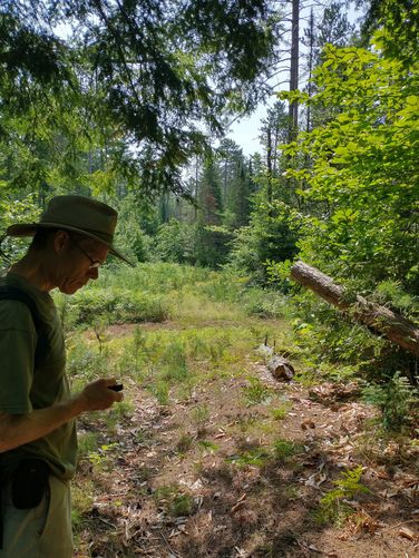 The trail sign at the junction was VERY far from the next trail blaze and was all the way across a small overgrown meadow. Make sure to have a good map.