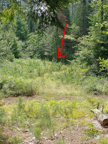 From the junction sign to the next trail marker. It was almost impossible to see and believe it or not, a full grown human is standing right next to the next trail marker