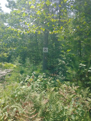 Vegetation along the trail needs to be cut back.  Make sure you do a tick check.