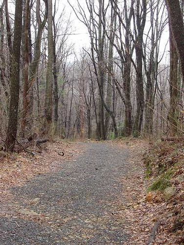 Picture 4 of Piney Branch Hike 032903
