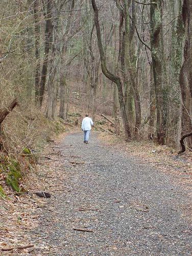 Picture 5 of Piney Branch Hike 032903