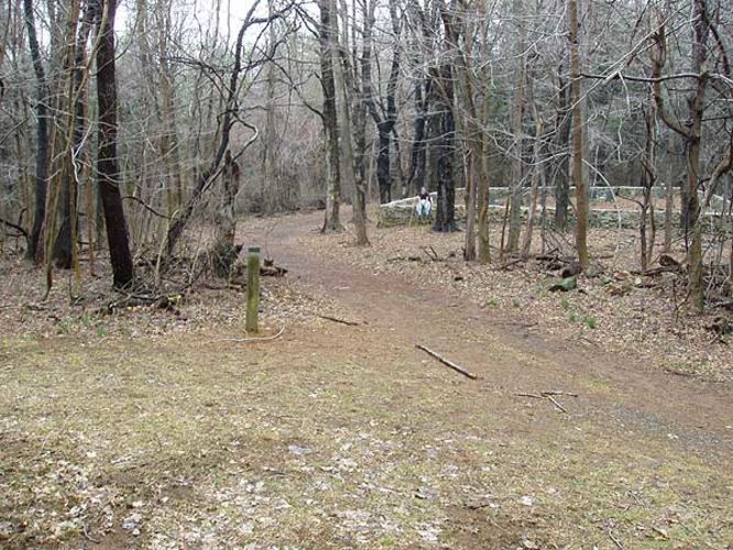 Picture 7 of Piney Branch Hike 032903