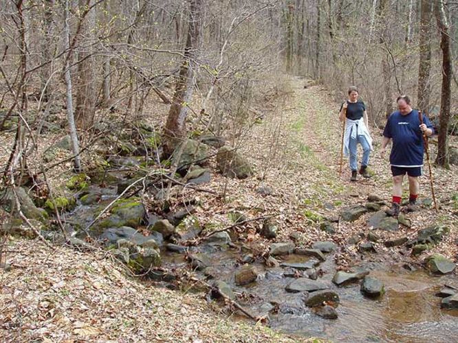 Picture 11 of Piney Branch Hike 032903