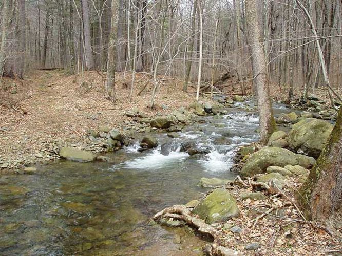 Default image for Piney Branch Hike, a 9.0-mile trail in Washington, VA (US)