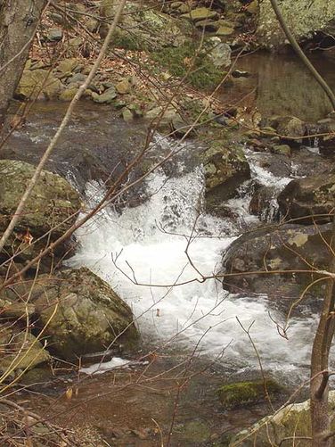 Picture 17 of Piney Branch Hike 032903