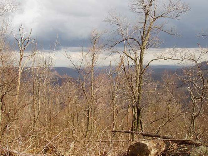 Picture 22 of Piney Branch Hike 032903