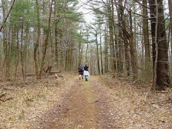 Picture 24 of Piney Branch Hike 032903