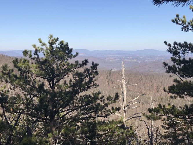 Picture 5 of Piney Ridge Hike 122920