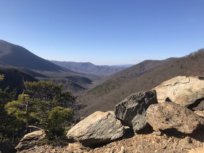 Piney Ridge Hike - Piney Ridge Hike 122920 album