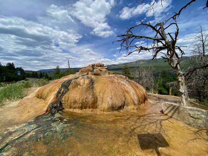 Dead tree stands next to Pinkerton Hot Spring