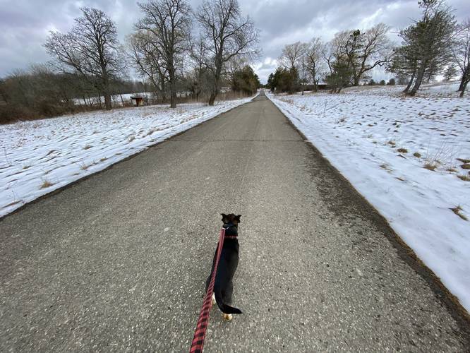 Jax hiking Pinnacle Rd