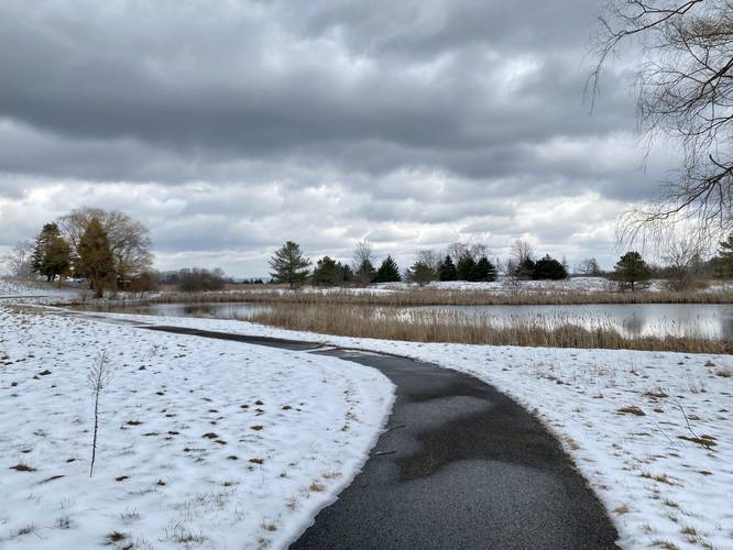 Pond along the golf path