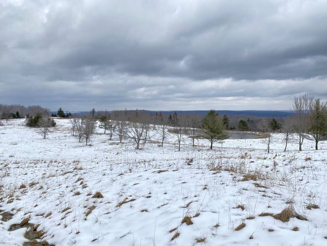 View along the trail