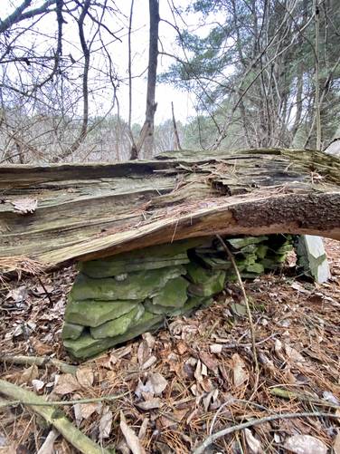 Abandoned stone grill / fire pit