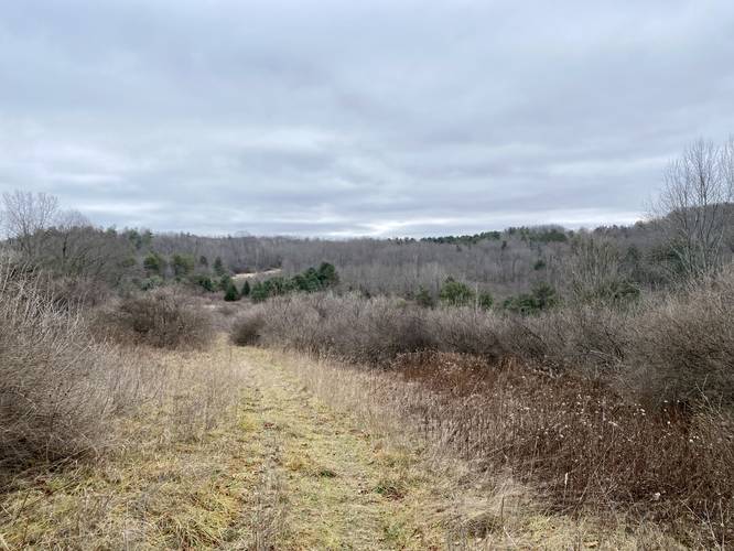 Views along the trail