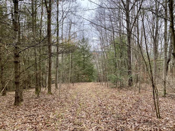 Hiking the Green Loop