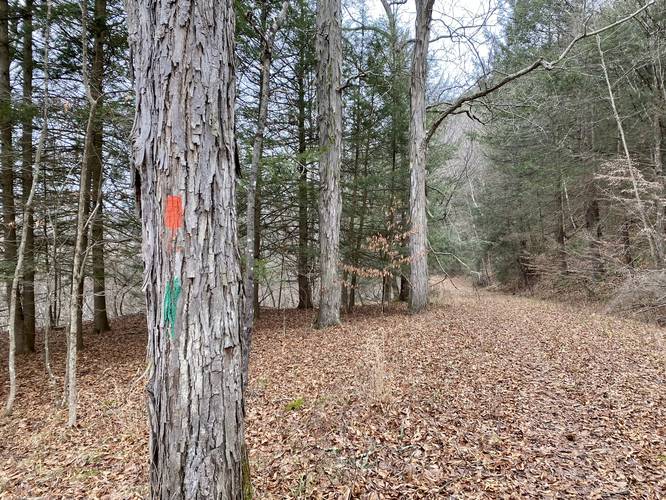 Green and Orange blazes lead hikers to parking
