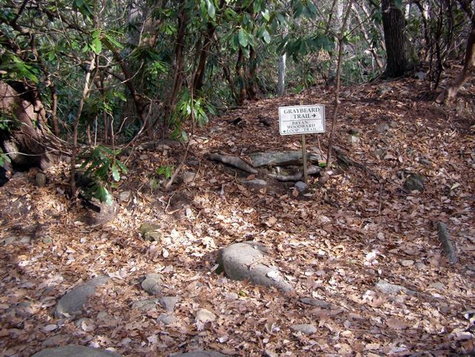 Picture 9 of Pinnacle Rocky Knob and Walkers Knob Hike