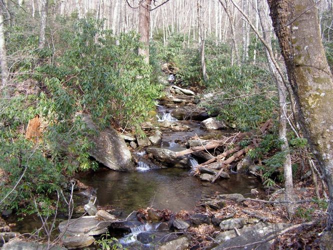 Picture 11 of Pinnacle Rocky Knob and Walkers Knob Hike