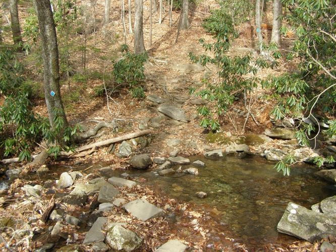 Picture 14 of Pinnacle Rocky Knob and Walkers Knob Hike