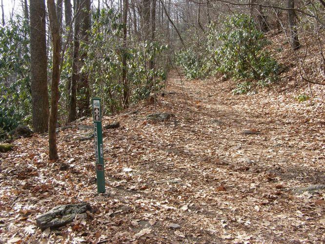 Picture 15 of Pinnacle Rocky Knob and Walkers Knob Hike
