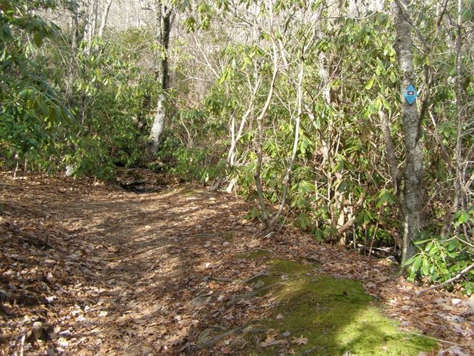 Picture 18 of Pinnacle Rocky Knob and Walkers Knob Hike