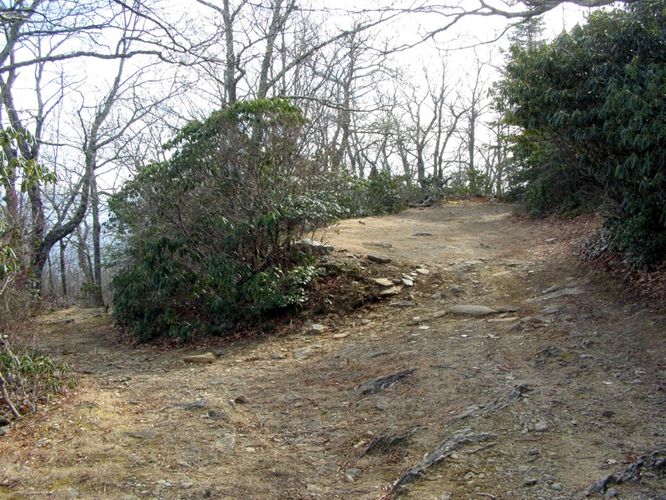 Picture 24 of Pinnacle Rocky Knob and Walkers Knob Hike