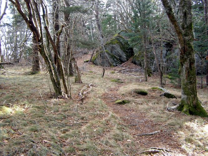 Picture 33 of Pinnacle Rocky Knob and Walkers Knob Hike