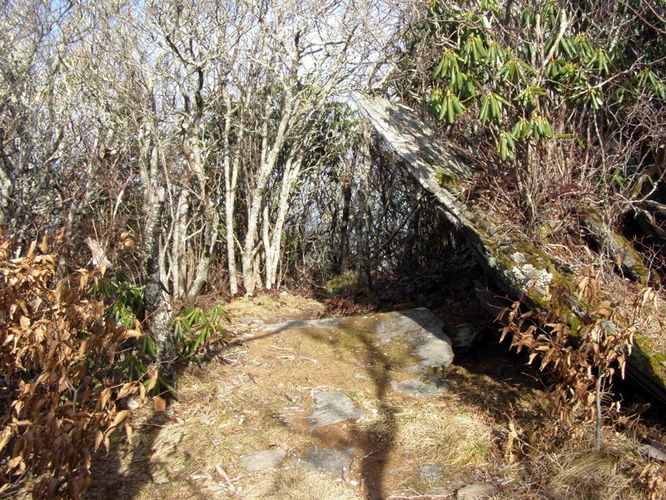 Picture 53 of Pinnacle Rocky Knob and Walkers Knob Hike