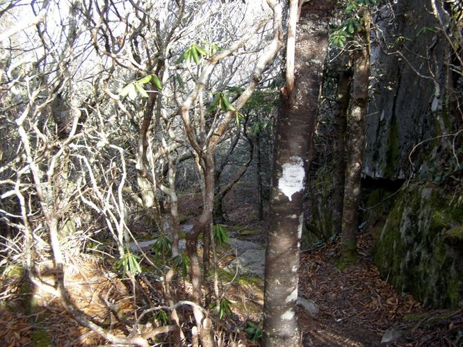 Picture 54 of Pinnacle Rocky Knob and Walkers Knob Hike