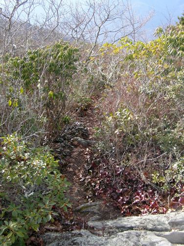 Picture 58 of Pinnacle Rocky Knob and Walkers Knob Hike